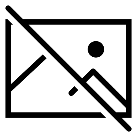 Bild des Artikels WI-13714